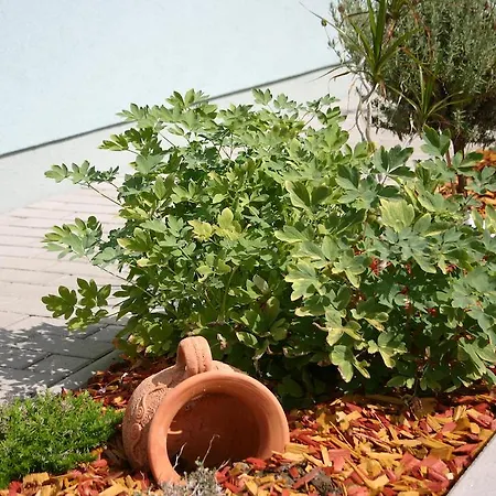 Altneudoerflerhof 호텔