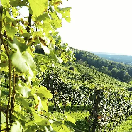 호텔 Altneudoerflerhof 바트래드커스스부르크