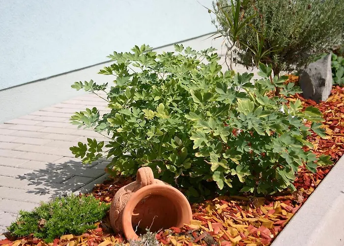 Altneudoerflerhof 酒店