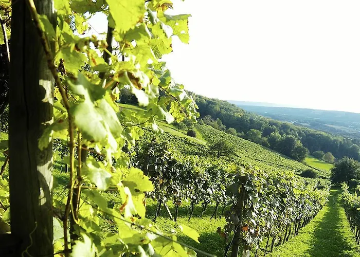 Otel Altneudörflerhof Bad Radkersburg